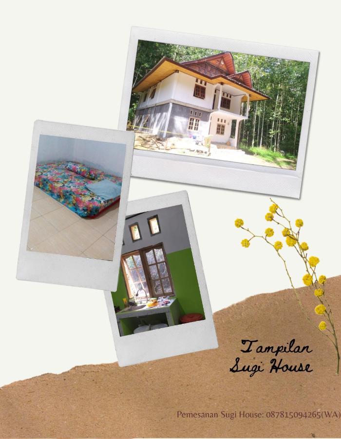 Sugi House Toraja - Villa Penginapan Sewa Harian Rantepao Kültér fotó